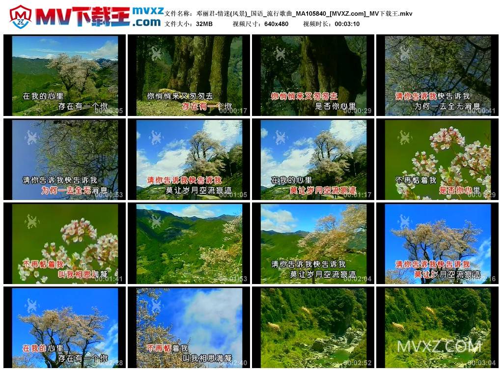 邓丽君-情迷(风景)_国语_流行歌曲_MA105840